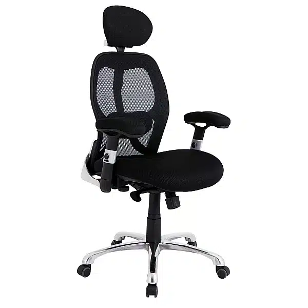 traditional office posture chair