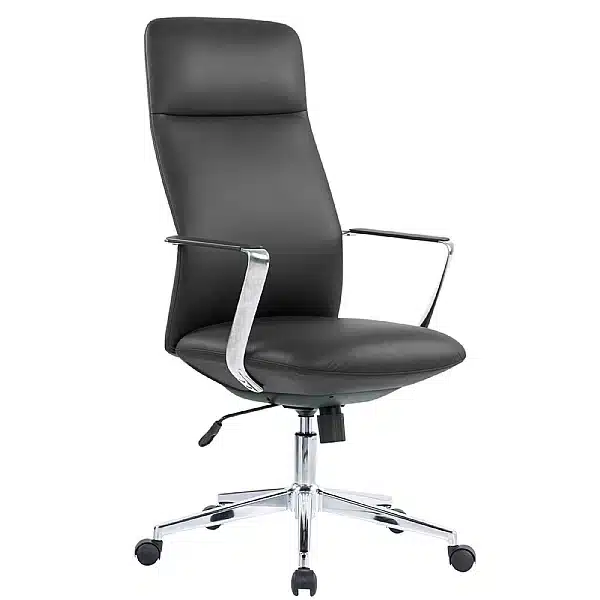 pisces high back executive chair