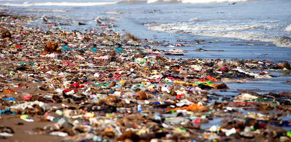 Vepa Plastic Soup