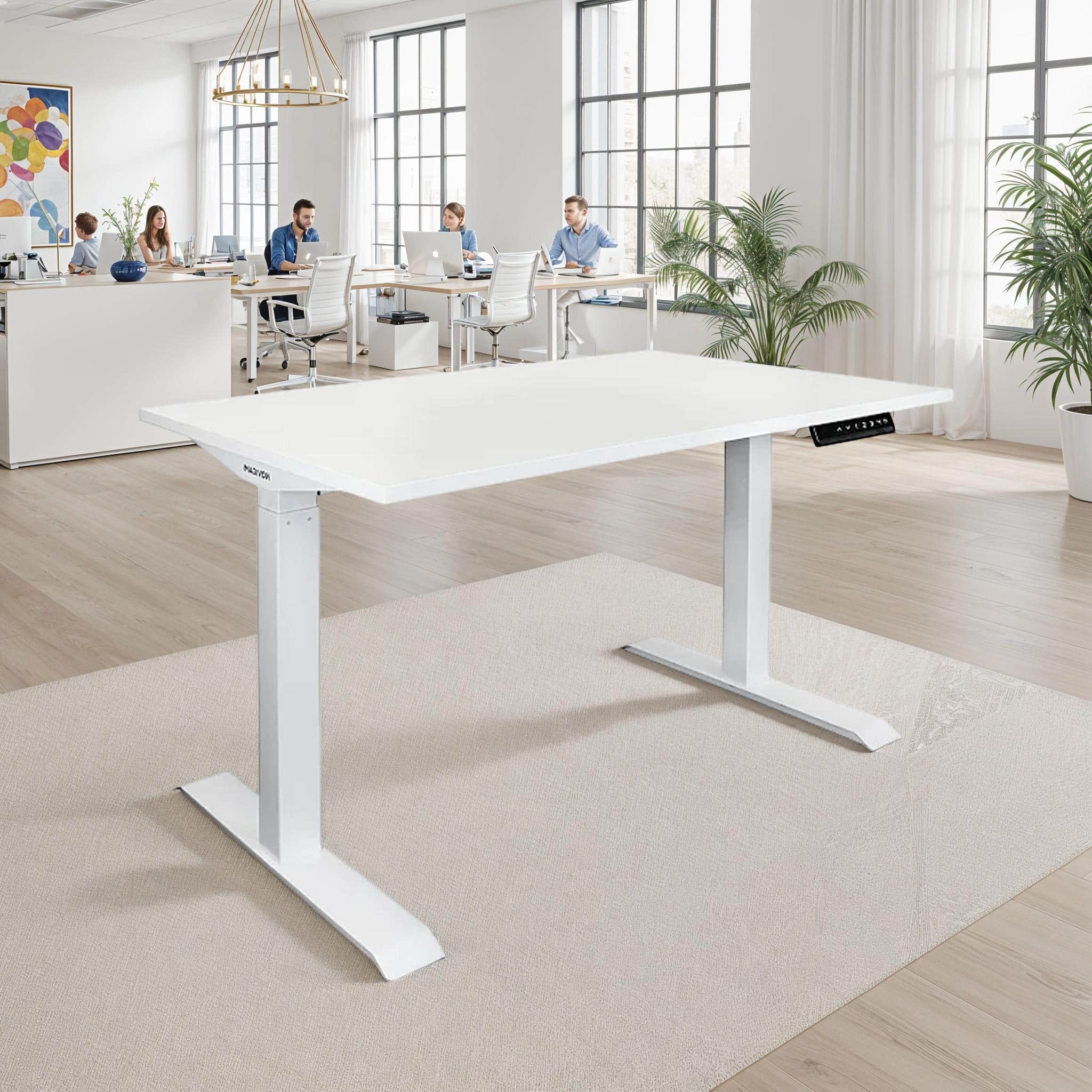 ergonomic standing office desks